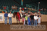 09yn-20520 proof