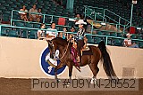 09yn-20552 proof