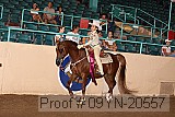 09yn-20557 proof