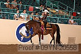 09yn-20558 proof