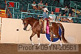 09yn-20561 proof