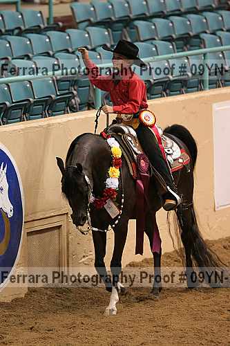 Proof 09yn-20567