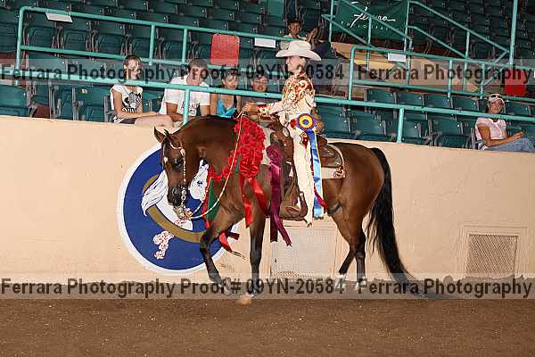 Proof 09yn-20584