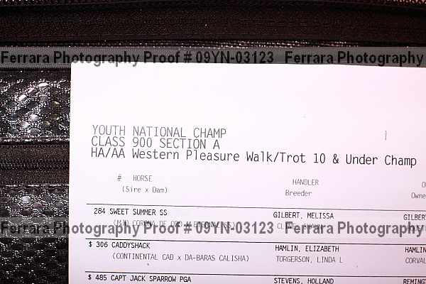 Proof 09yn-03123