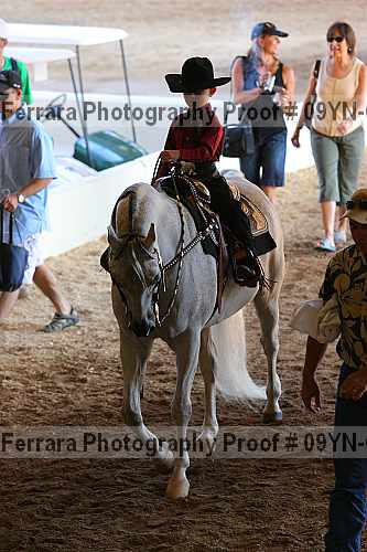 Proof 09yn-03142