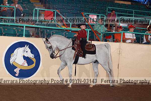 Proof 09yn-03143