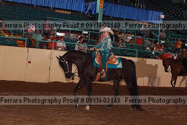Proof 09yn-03149