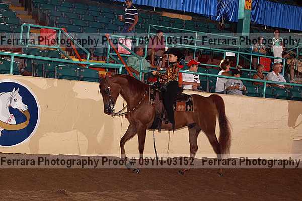 Proof 09yn-03152