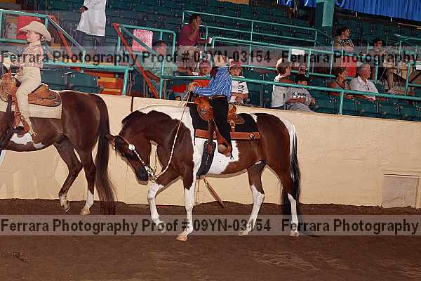 Proof 09yn-03154
