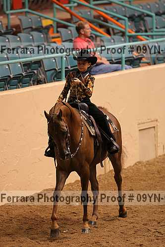 Proof 09yn-03156