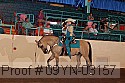 09yn-03157 proof