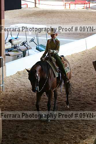 Proof 09yn-03166