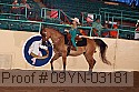 09yn-03181 proof