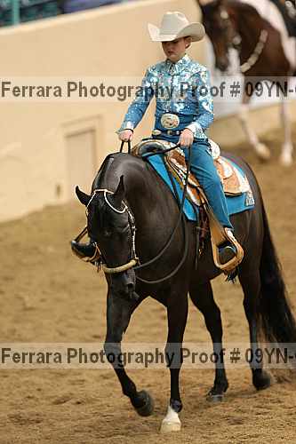 Proof 09yn-03183