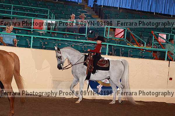 Proof 09yn-03196