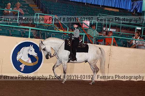 Proof 09yn-03197