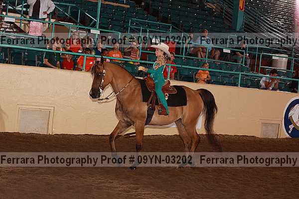 Proof 09yn-03202