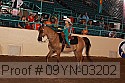 09yn-03202 proof