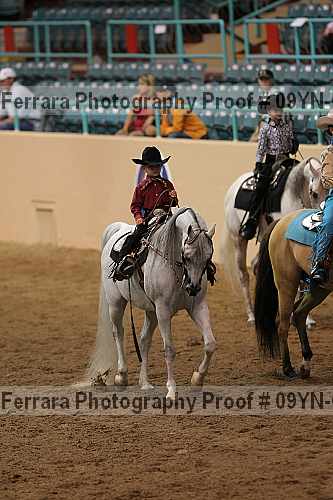 Proof 09yn-03208
