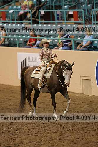 Proof 09yn-03216