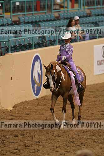 Proof 09yn-03226