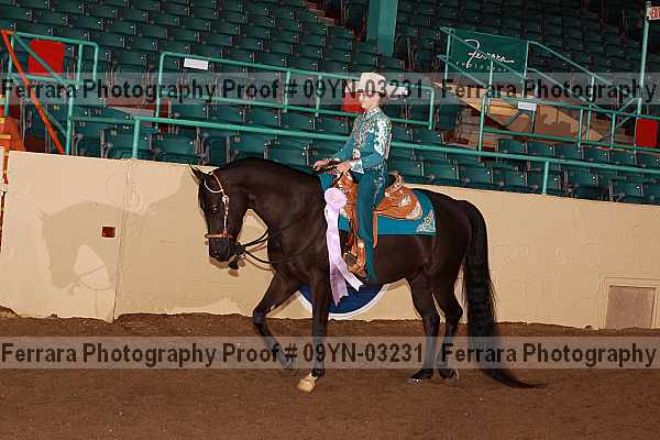 Proof 09yn-03231
