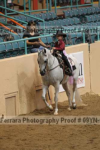 Proof 09yn-03243