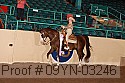 09yn-03246 proof