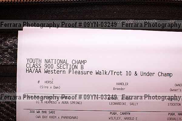 Proof 09yn-03249