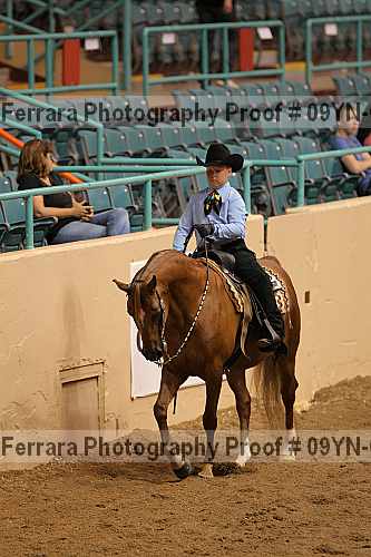 Proof 09yn-03256