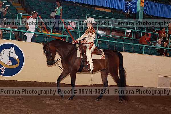 Proof 09yn-03261