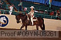 09yn-03261 proof