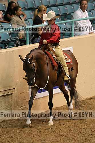 Proof 09yn-03262
