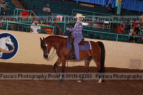 Proof 09yn-03265