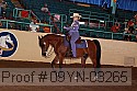 09yn-03265 proof