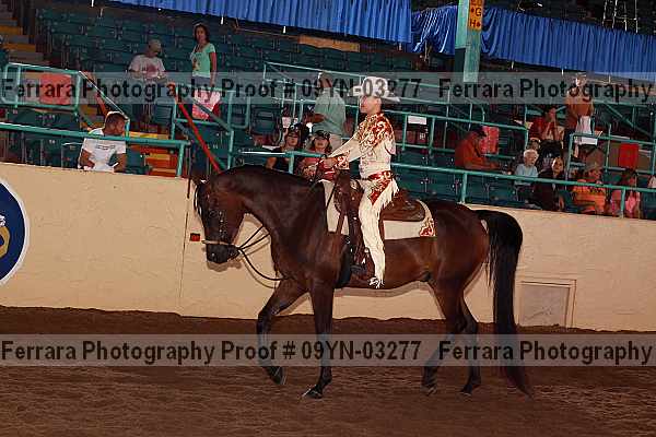 Proof 09yn-03277