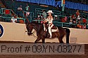 09yn-03277 proof