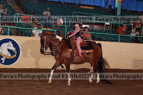 Proof 09yn-03278