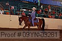 09yn-03281 proof
