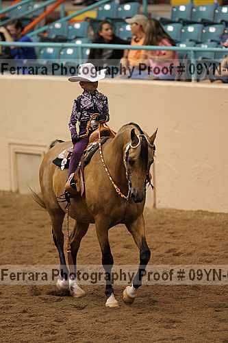 Proof 09yn-03293