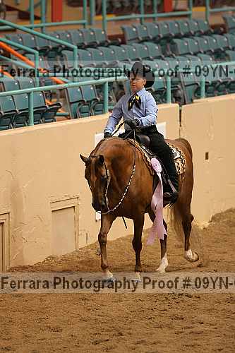 Proof 09yn-03296