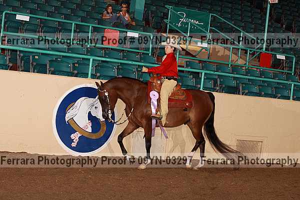Proof 09yn-03297