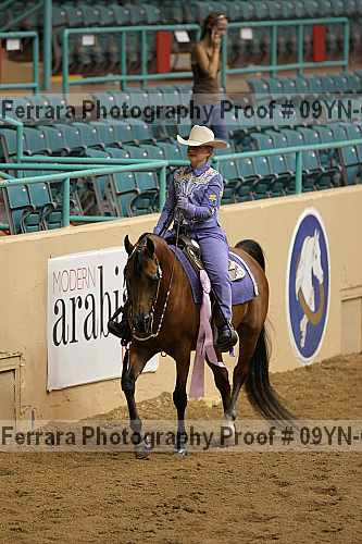 Proof 09yn-03303