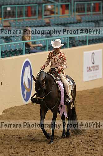 Proof 09yn-03306