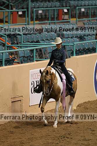 Proof 09yn-03309