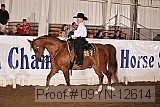 09yn-12614 proof