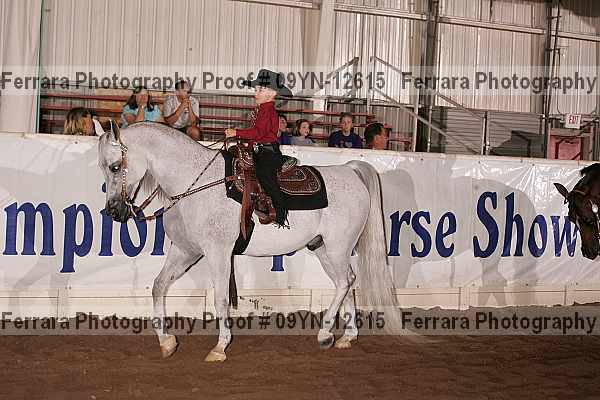 Proof 09yn-12615