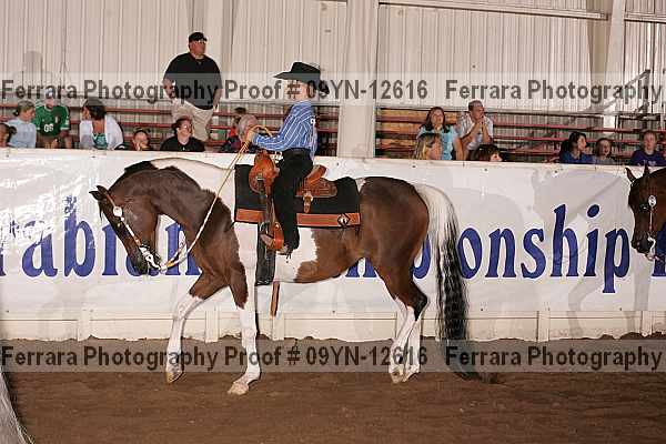 Proof 09yn-12616