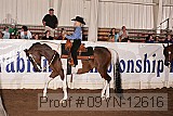 09yn-12616 proof