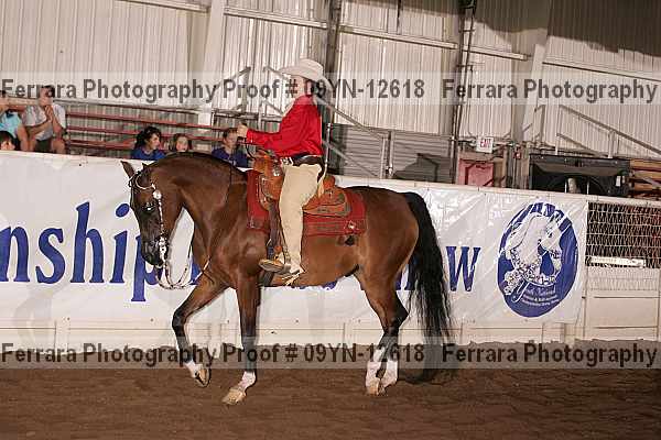Proof 09yn-12618